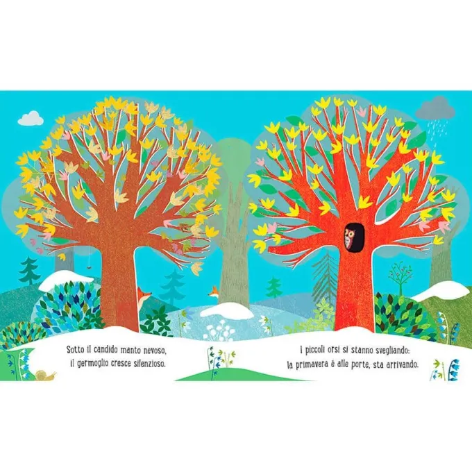 Albero - 24 pagine