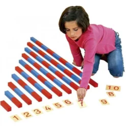 Aste numeriche