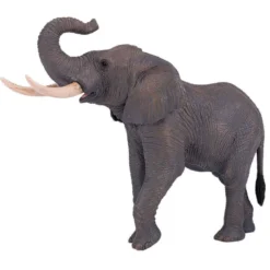 Big five dell'africa