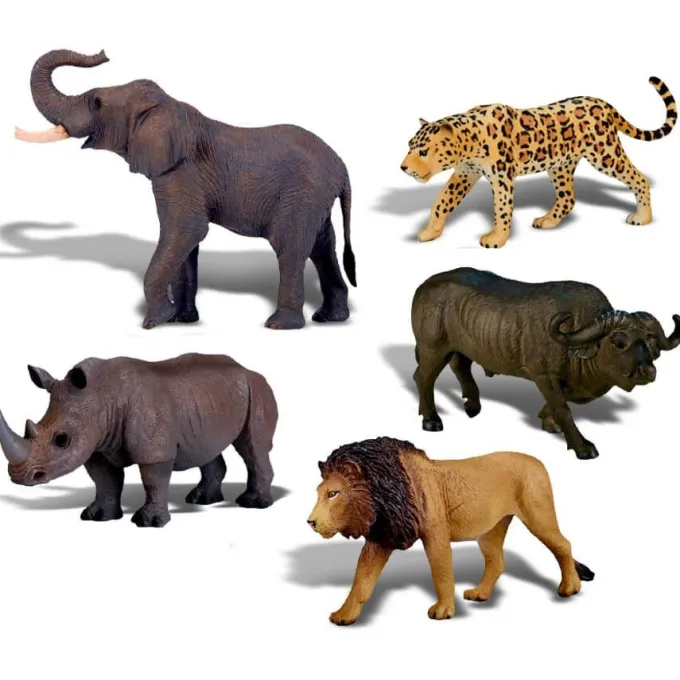 Big five dell'africa