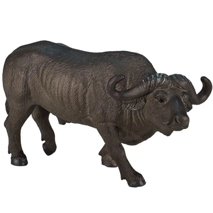 Big five dell'africa