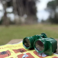 Binocolo