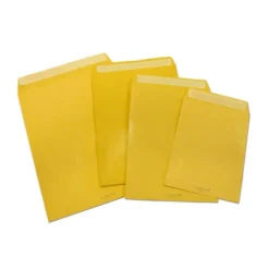 Buste avana sacco a soffietto autoadesive cm 30x40 250 pezzi