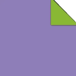 Carta origami duo colori intensi