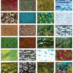 Carte ambienti naturali