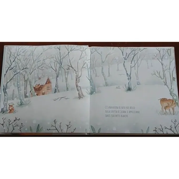 Chiara e l'inverno