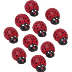 Coccinelle 3d in legno - 30 pezzi