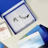 Cofanetto montessori degli oceani