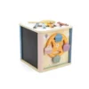 Cubo delle attivitÀ