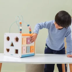 Cubo delle attivitÀ