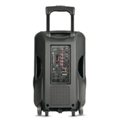 Diffusore amplificato con radiomicrofono 600w pmpo