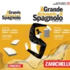 Dizionario zanichelli spagnolo italiano edizione maggiore