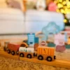 Ferrovia degli animali