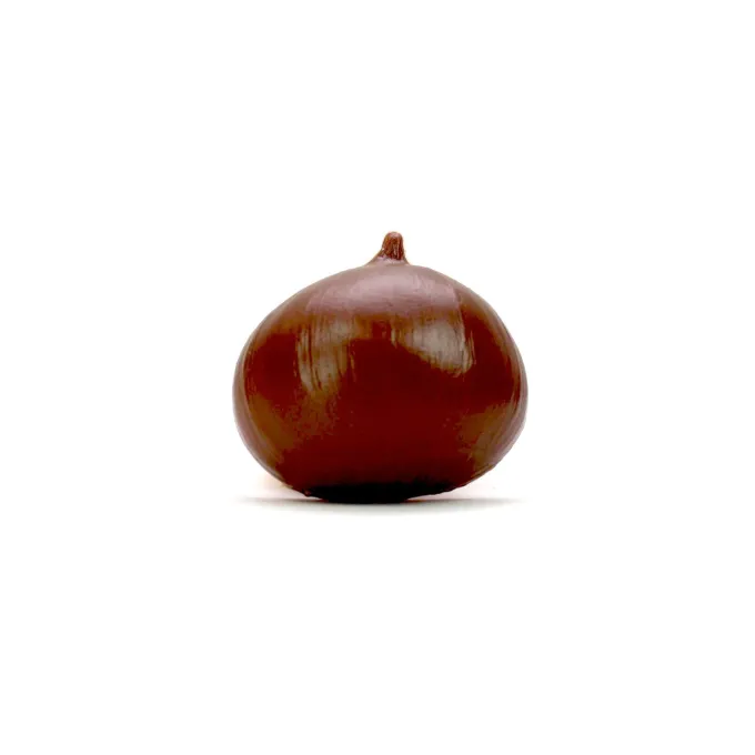Frutta - 15 pezzi