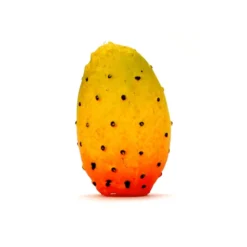 Frutta - 15 pezzi