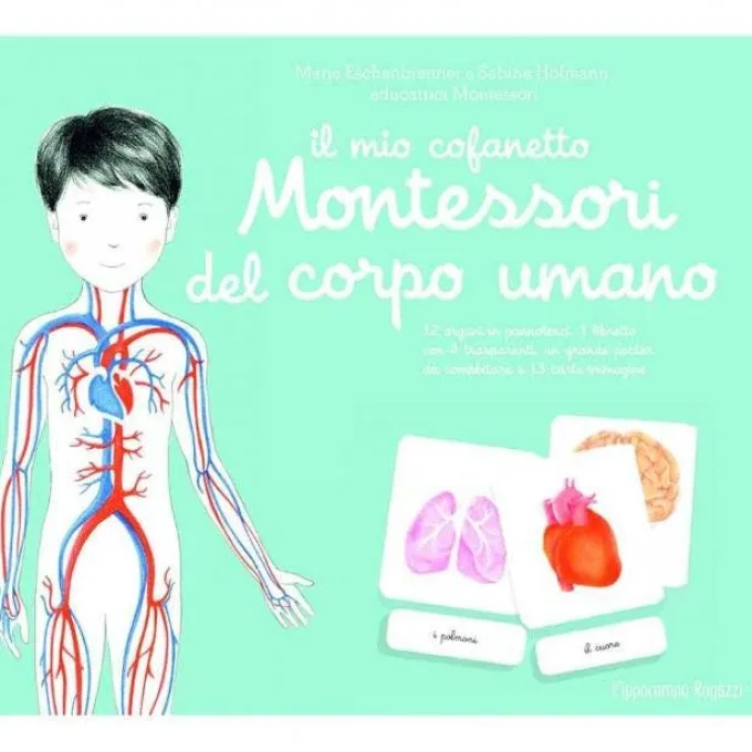 Il mio cofanetto montessori del corpo umano