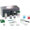 Kit didattico la mitosi