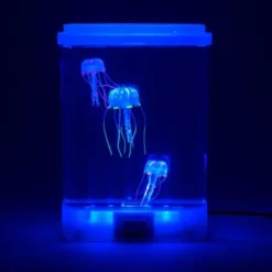 Mini acquario con meduse