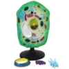 Modello cellula vegetale