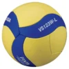 Pallone volley scuola