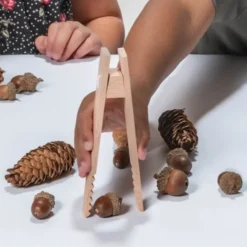Pinzette in legno per motricità fine