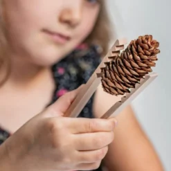 Pinzette in legno per motricità fine