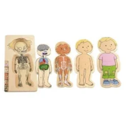 Puzzle a strati corpo stefy