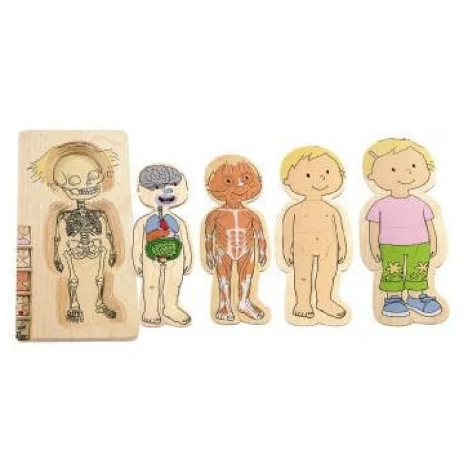 Puzzle a strati corpo stefy