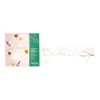 Sagome di carta con semi in 3 forme - 100 pz
