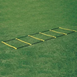 Scala agility 10 pioli