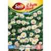 Semi per fiori
