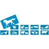 Set carte manto animali 24 ff 8 motivi + 10 stencil