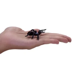 Set mini insetti