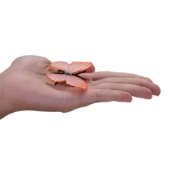 Set mini insetti