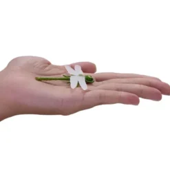 Set mini insetti