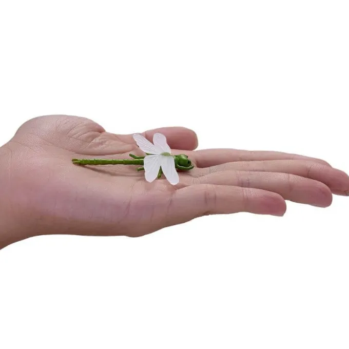Set mini insetti