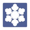 Stencil giganti - fiocchi di neve
