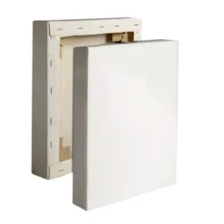 Tela pittura c telaio spesso 20x30 bianca