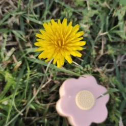 Tocca e trova della natura