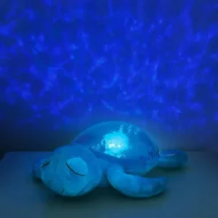 Tranquil turtle