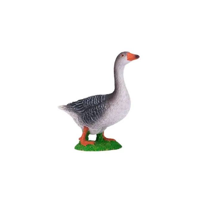 Uccelli - 9 pezzi
