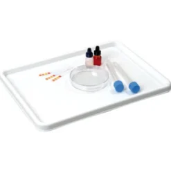 Vassoio per esperimenti e laboratori cm 33x24.5