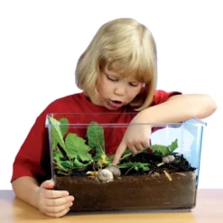 Vivarium con coperchio